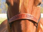 125 floral noseband