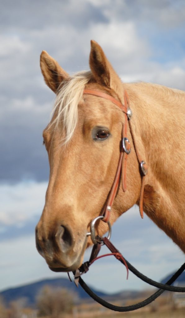 Roping Reins Double Diamond Halter Company